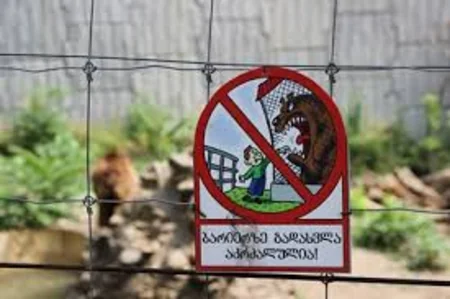 ​Tbilisidə zoopark dağılıb, heyvanlar şəhər küçələrinə axışıb - FOTO