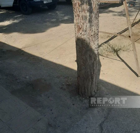 Biləsuvarda avtovağzal ərazisi zibil poliqonuna çevrilir