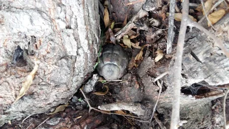 Şəmkirdə əl qumbarası tapılıb