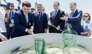 Azerbaijan Fish Farm released 100.000 Sturgeon and 20.000 salmon into the Caspian Sea