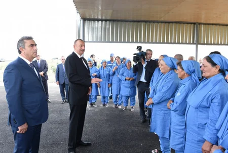 Azərbaycan prezidenti Salyanda pambıq sahələrinə baxıb