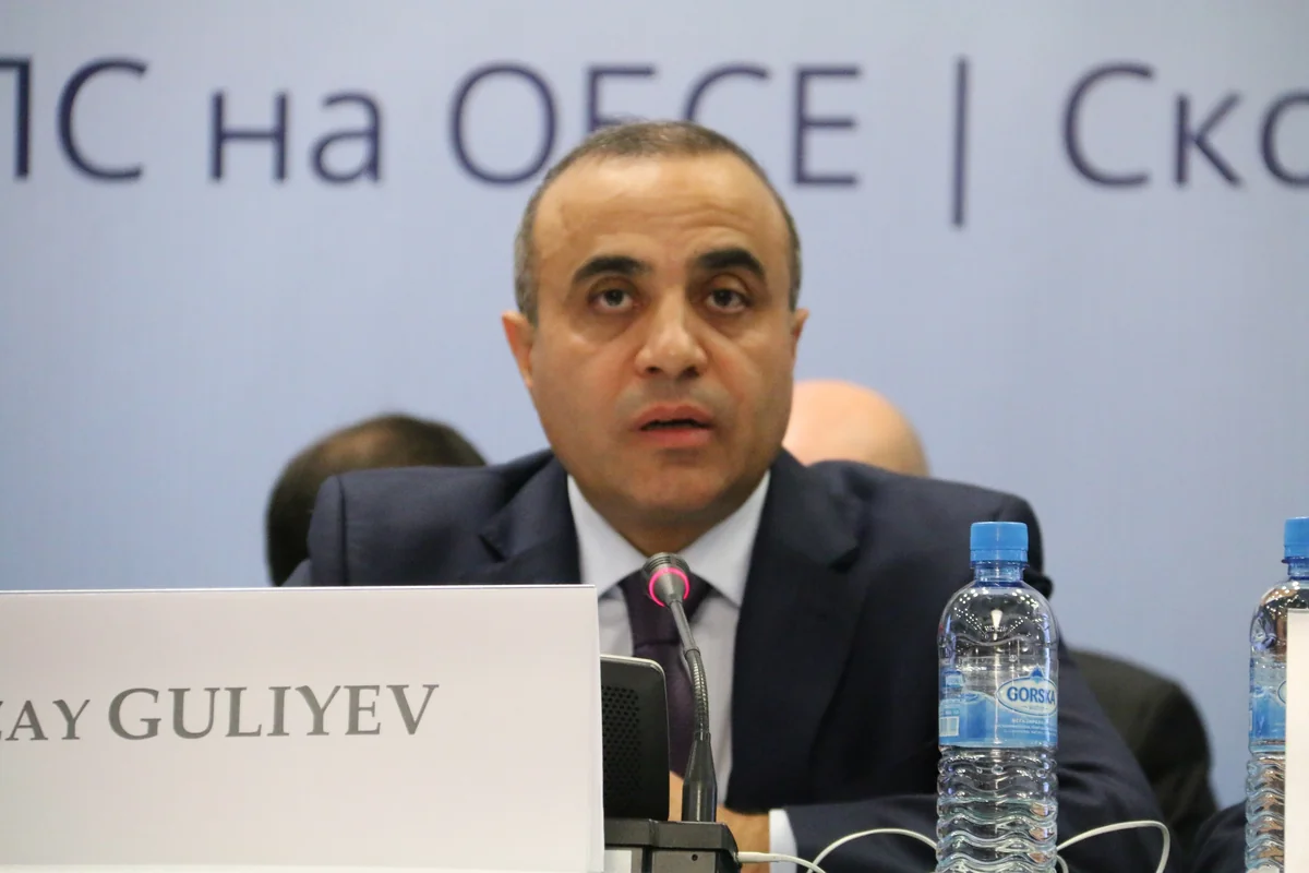 Azay Quliyevin başçılıq etdiyi missiya Monteneqroda seçkiləri izləyəcək