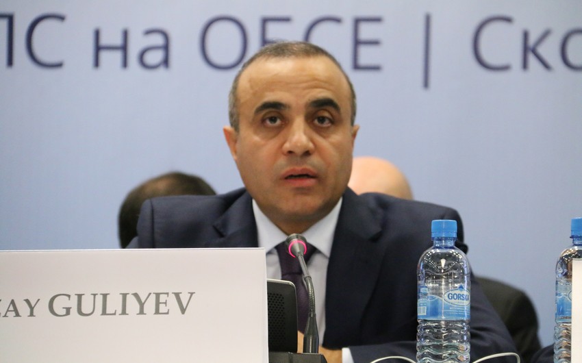 Azay Quliyevin başçılıq etdiyi missiya Monteneqroda seçkiləri izləyəcək