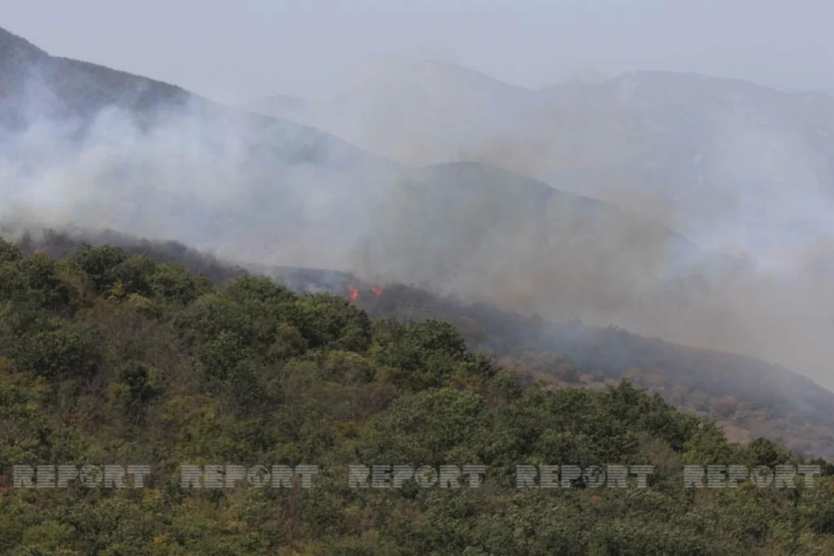 Генерал: В этом году в Азербайджане произошло 10 900 пожаров