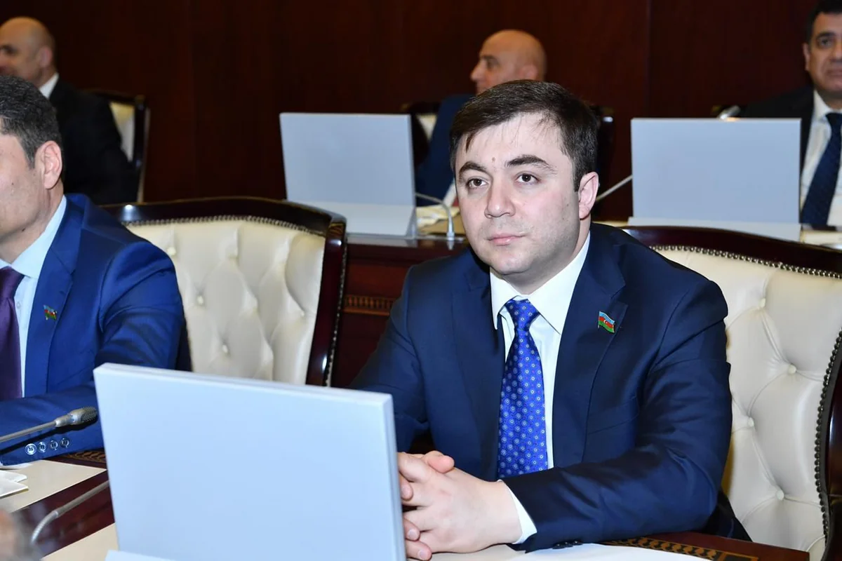 Депутатам из СНГ рассказали о деятельности кампании IDEA, возглавляемой Лейлой Алиевой