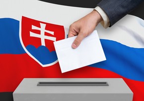 Slovakia holds referendum to enable snap election