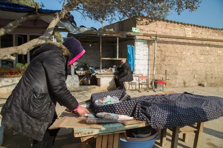 Yarımadaya qovuşan ada: Pirallahı - FOTOREPORTAJ