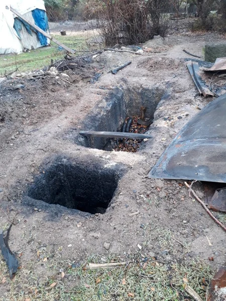 Oğuzda qanunsuz yolla əldə edilən meşə materialları və kömür hazırlanan quyular aşkar edilib