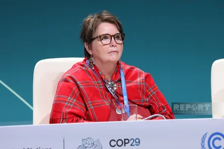Ceykob Cons: İqlim dəyişikliyinin təsirlərini minimuma endirmək üçün COP29 çərçivəsində birlikdə işləməliyik