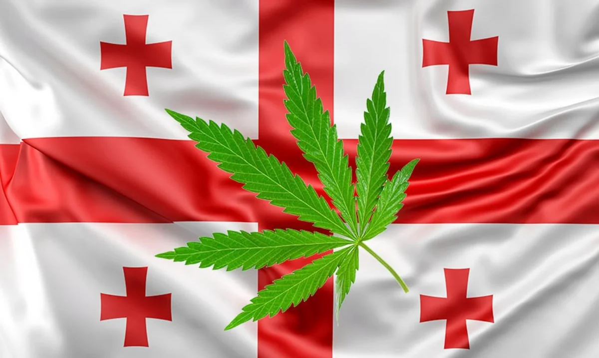 Gürcüstanda marixuanadan istifadəyə görə cəzalar sərtləşdirilib