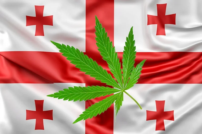 На употребление марихуаны в Грузии ввели жесткие ограничения