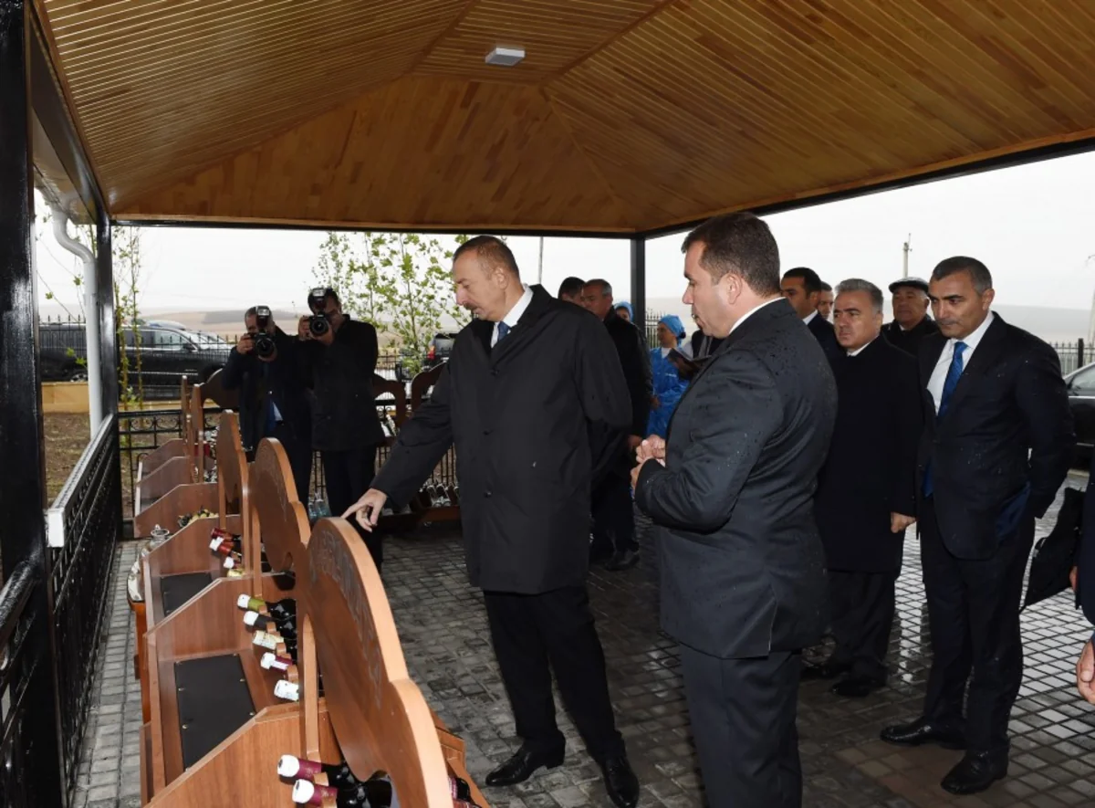 President Ilham Aliyev views Az-Granata vineyards in Shamakhi