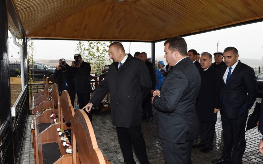 Prezident İlham Əliyev Şamaxıda “Az-Qranata” MMC-yə məxsus üzüm bağları ilə tanış olub