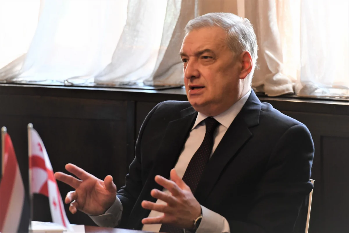 Giorgi Volski: Strategic partnership between Georgia, Azerbaijan important for int'l co-op