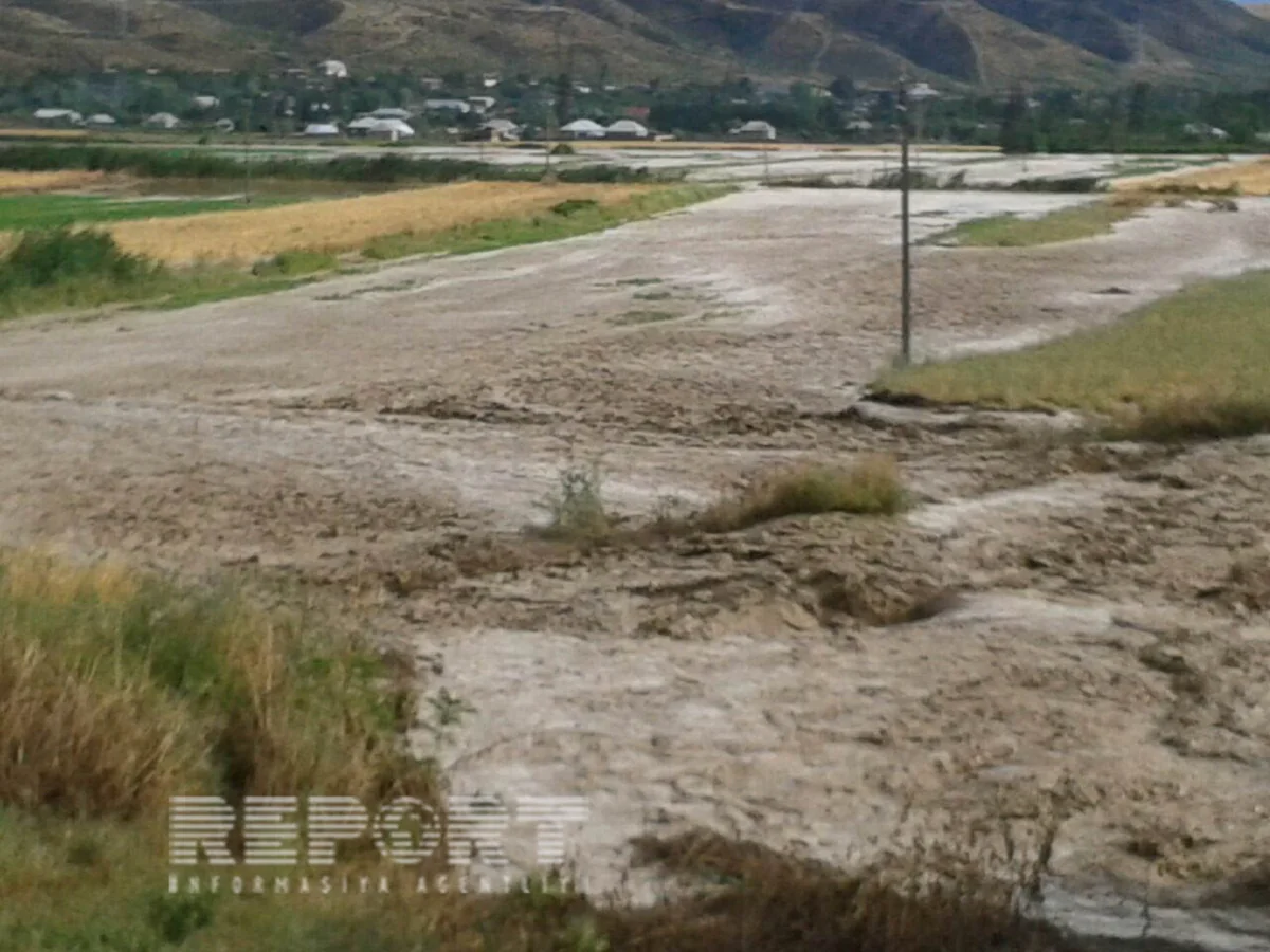 ​İsmayıllı və Göyçay rayonunun bir neçə kəndini sel suları basıb - FOTO