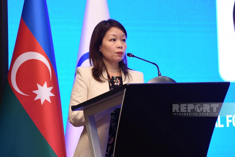 BMT Azərbaycana minatəmizləmə sahəsində dəstəyini əsirgəməyəcəyini bildirib