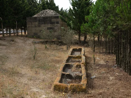 Qala Dövlət Tarix-Etnoqrafiya Qoruğunda genişmiqyaslı iməcilik keçirilib