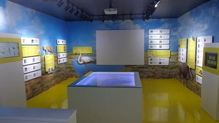 Bu ay milli parklarda bir sıra tədbirlər təşkil olunacaq - SİYAHI