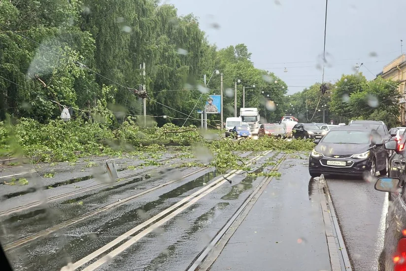 Под Петербургом из-за шторма погибли три человека