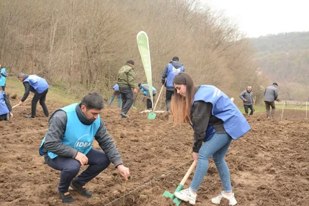 “Yaşıl Marafon” çərçivəsində Qubada meşəsalma aksiyası keçirilib