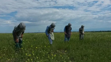 ​Tərtərdə 100 mm-lik OF 412 top mərmisi aşkarlanıb