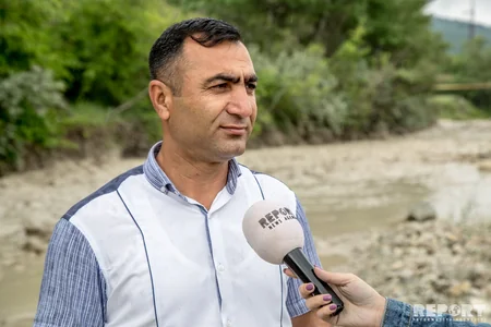 Bakıya ən yaxın böyük meşədən... - REPORTAJ