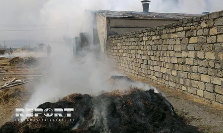 ​Lənkəranda ferma yanıb - FOTO