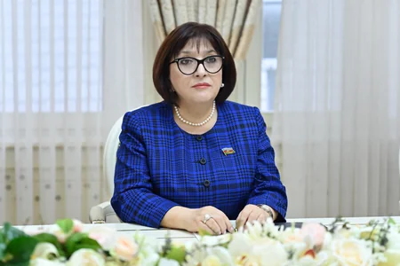 Sahiba Gafarova mulls global, regional issues with Hulusi Akar