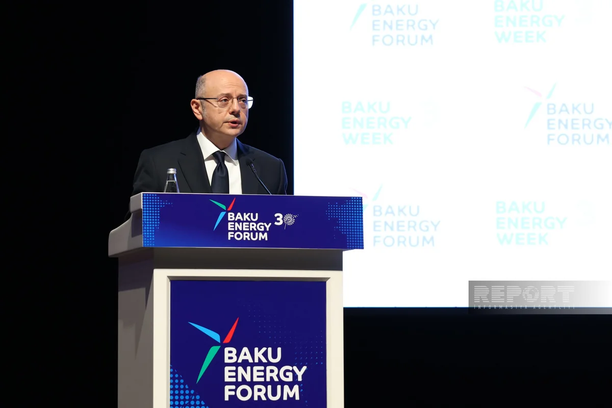 Azerbaijan to complete first stage of green energy development in 2 years