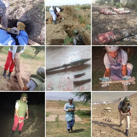 ANAMA ötən ilin yekunları barədə hesabat yayıb