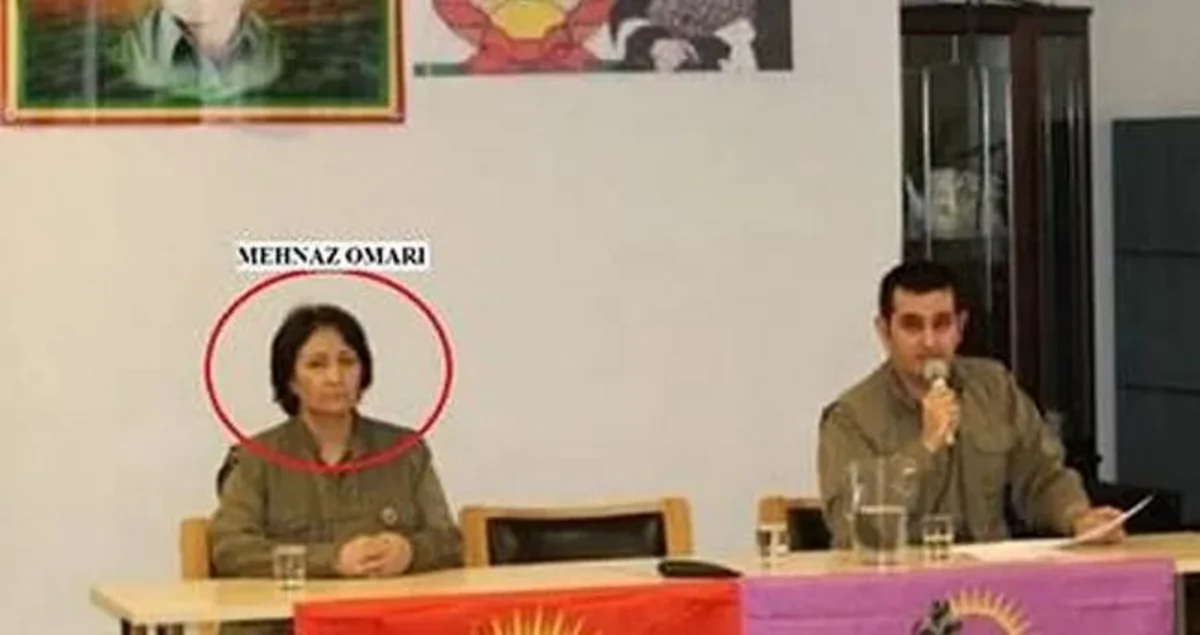 İstanbulda PKK/KCK terror qruplaşmasının rəhbərlərindən biri saxlanılıb