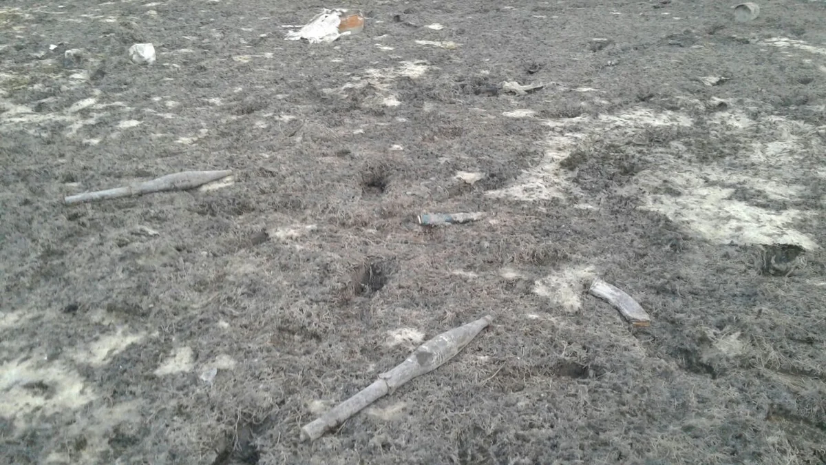 Gədəbəydə 33 ədəd müxtəlif tipli hərbi sursat aşkar edilib - FOTO