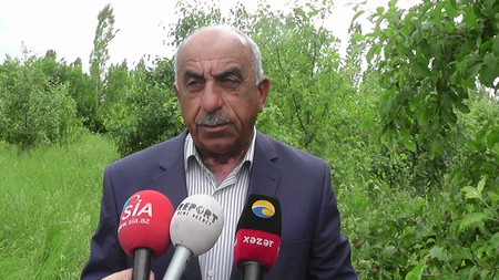 Qubada alma bağlarına xəstəlik düşüb - VİDEOREPORTAJ