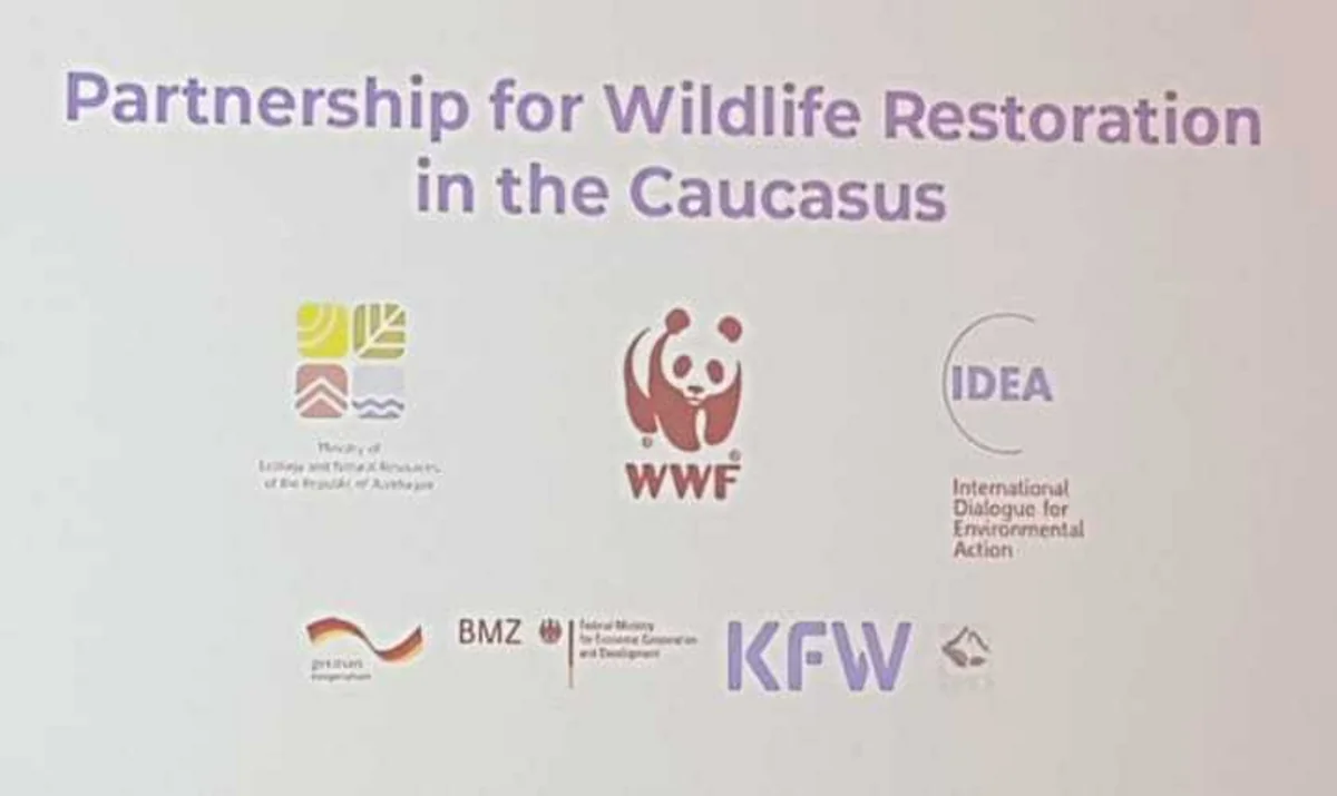 “Caspian Ecology” 9-cu Azərbaycan Beynəlxalq Ətraf Mühit Sərgisi çərçivəsində konfrans keçirilir
