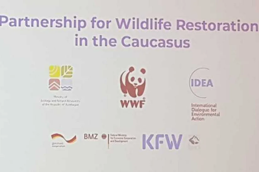 “Caspian Ecology” 9-cu Azərbaycan Beynəlxalq Ətraf Mühit Sərgisi çərçivəsində konfrans keçirilir