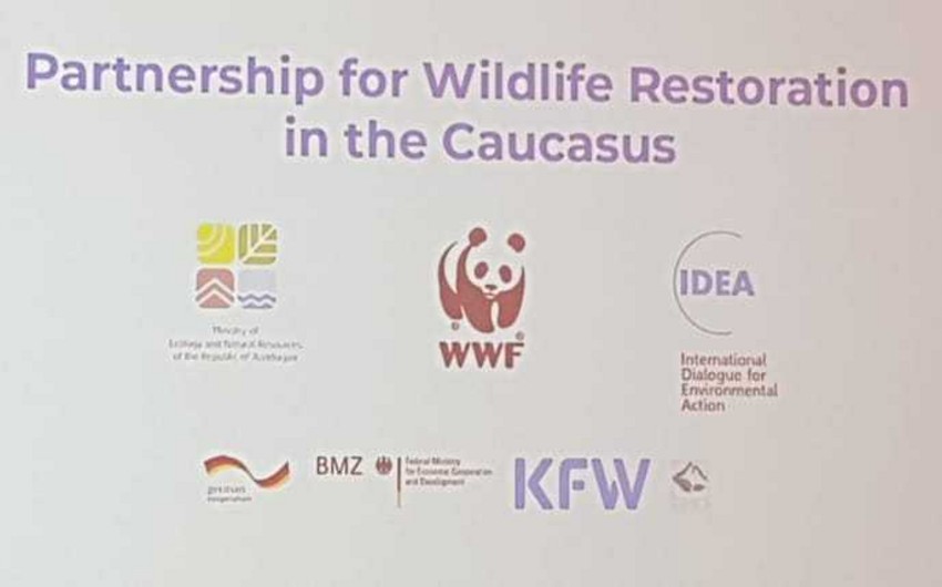 “Caspian Ecology” 9-cu Azərbaycan Beynəlxalq Ətraf Mühit Sərgisi çərçivəsində konfrans keçirilir
