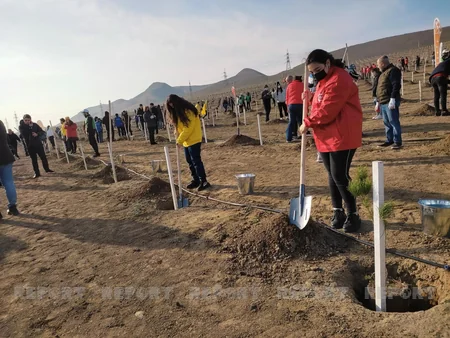 Xocasəndə 2000-dən çox müxtəlif cinsli ağac əkilib