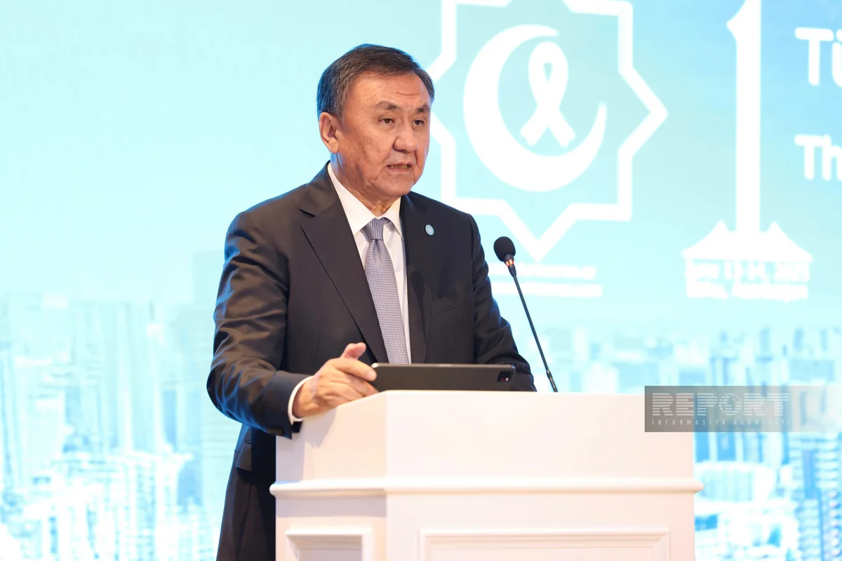 OTS head: Turkic states take decisive steps towards cooperation in healthcare