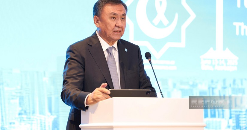 OTS head: Turkic states take decisive steps towards cooperation in healthcare