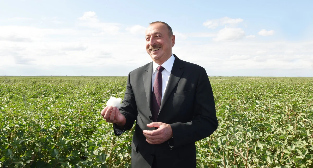 Azerbaijan declares strategic road map for production and processing of agricultural products
