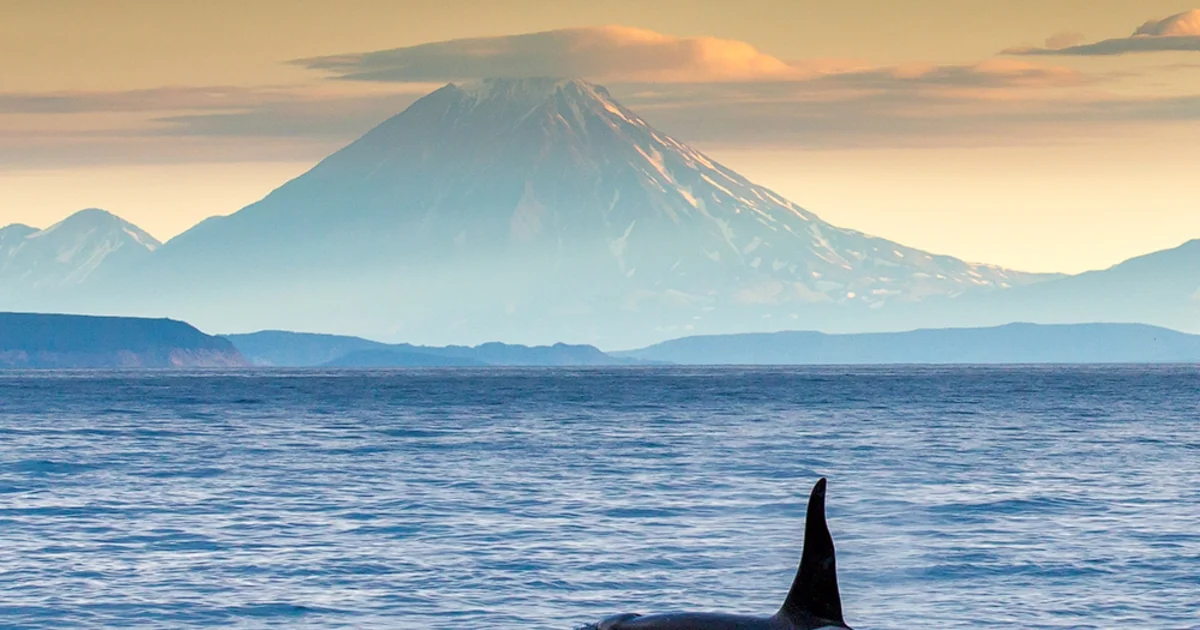 Sakit okeanda 6,6 bal gücündə zəlzələ baş verib