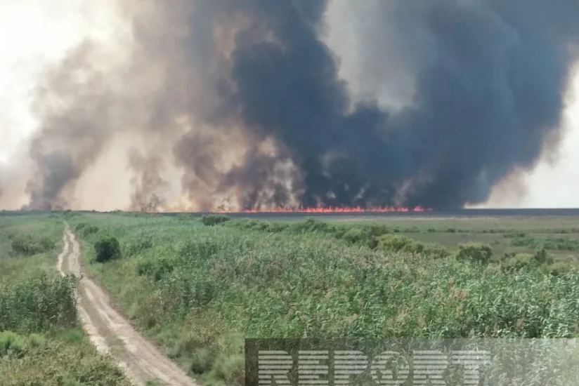 Пожар в Гызылагаджском нацпарке локализован