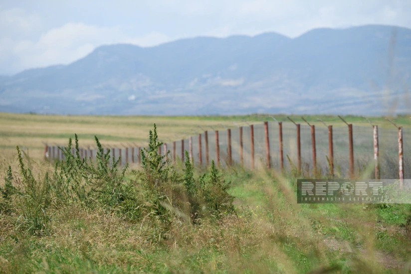 В Ходжалы выявлена наркоплантация