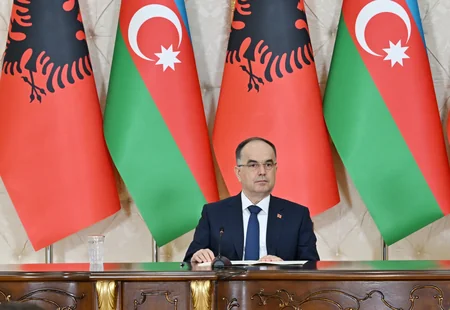 Azərbaycan və Albaniya prezidentləri mətbuata bəyanatlarla çıxış ediblər - YENİLƏNİB