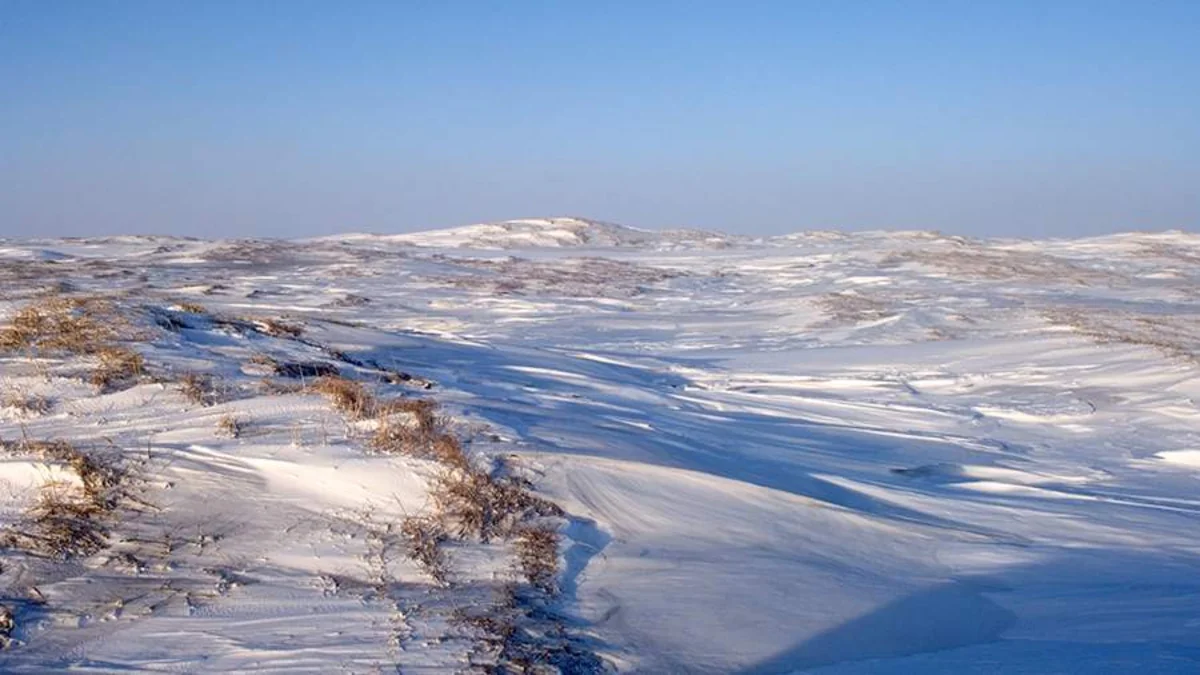 Arctic suffers hottest summer on record: NOAA