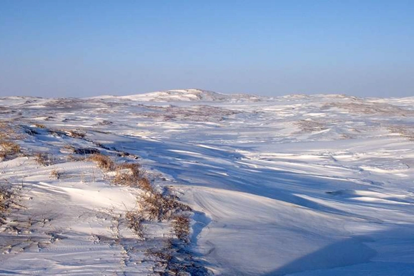 Arctic suffers hottest summer on record: NOAA