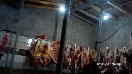 В Сальяне арестованы продавцы мертвечины