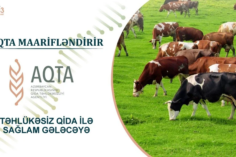 AQTA peyvəndləmə ilə bağlı fermerlərə tövsiyə verib