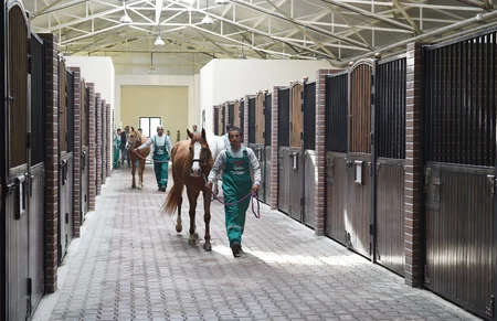 President Ilham Aliyev attends opening of Qarabag Equestrian Complex