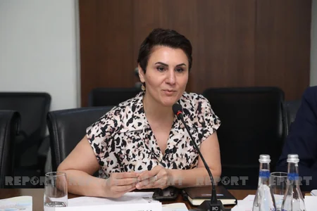 Dayanıqlı inkişaf üçün ədalətli, sülhsevər və açıq cəmiyyətləri təşviq etmək” mövzusunda ictimai müzakirə keçirilib